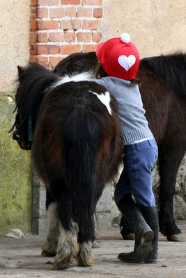 Un enfant fait un calin Ã  un poney. L'enfant porte une casquette rouge avec un coeur blanc dessus